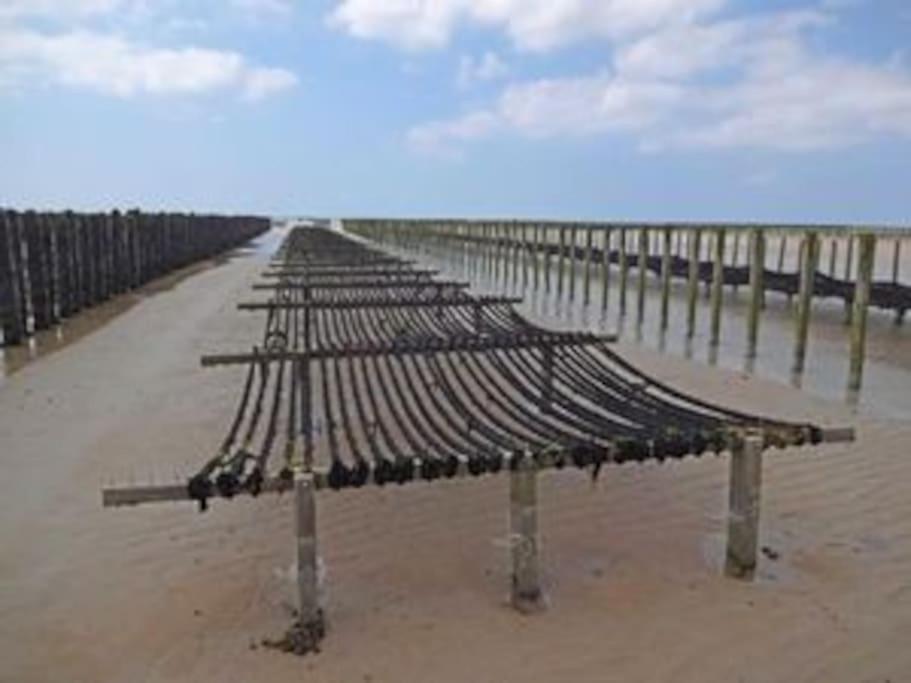 Maison Bord De Mer Individuel Gouville-sur-Mer Exteriör bild